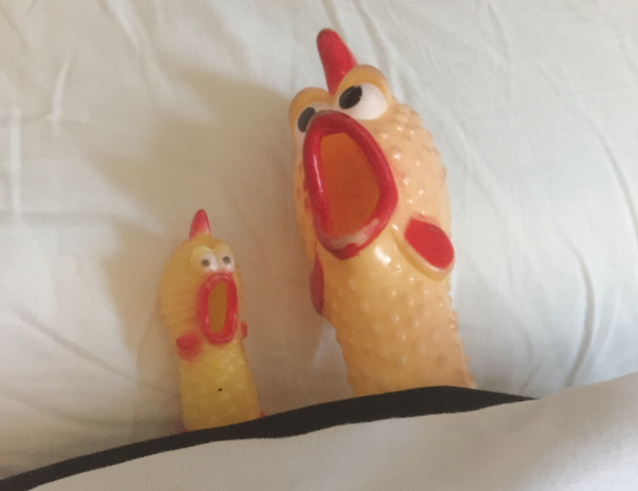 Two chickens