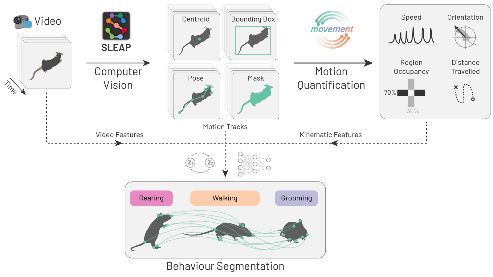 A schematic overview of topics covered in the Animals in Motion track.