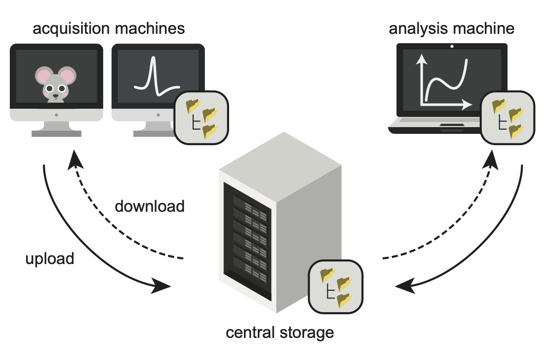 ../../_images/datashuttle-overview-light.png