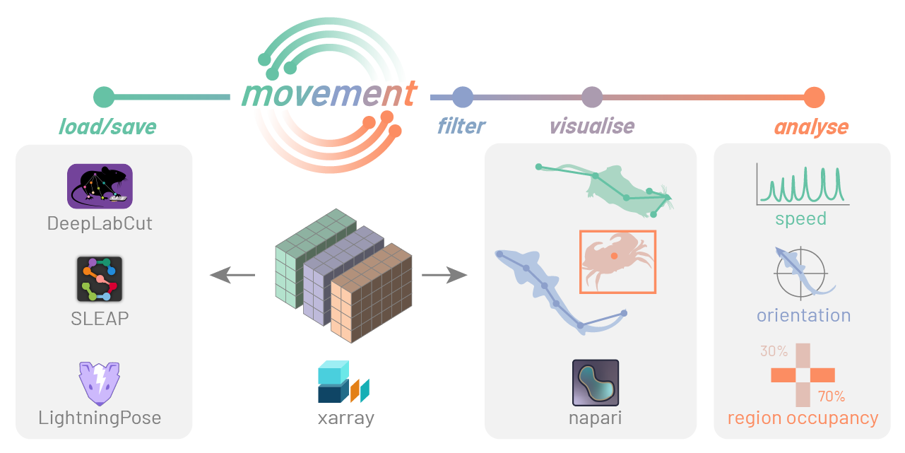 ../_images/movement_overview.png