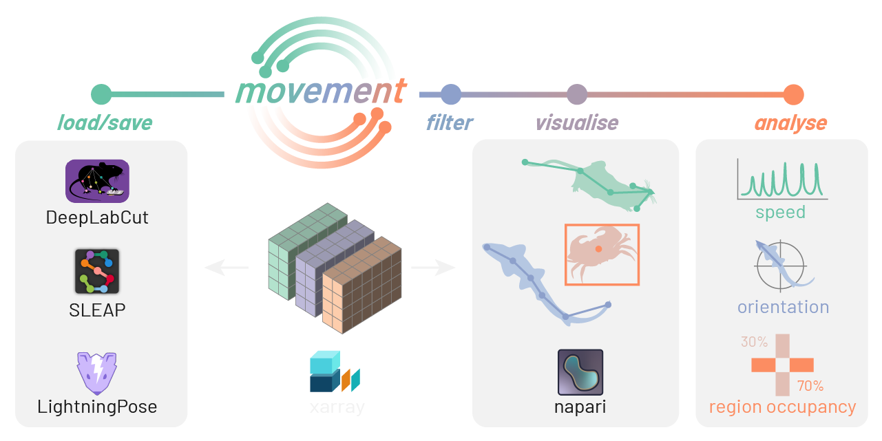 ../_images/movement_overview_dark.png