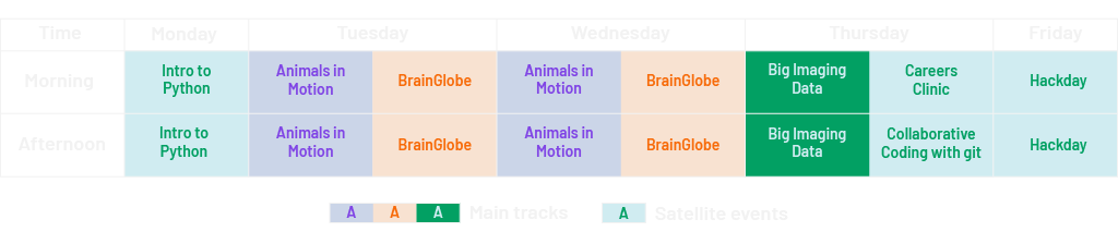 A colour-coded table showing the schedule of open software week. The columns are weekdays, and the rows are Morning and Afternoon. All of Monday and Friday will be spent on 'Intro to Python' and 'Hackday', respectively. Tuesday and Wednesday are split into two whole-day main tracks: 'Animals in Motion' and 'BrainGlobe'. On Thursday, one can choose between either a full day of 'Big Imaging Data' or 'Careers Clinic' in the morning and 'Collaborative Coding with git' in the afternoon.