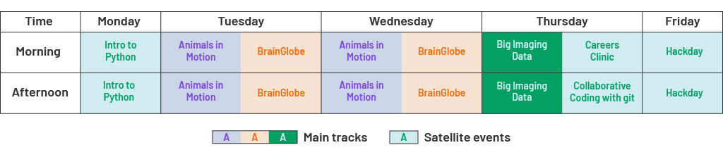 A colour-coded table showing the schedule of open software week. The columns are weekdays, and the rows are Morning and Afternoon. All of Monday and Friday will be spent on 'Intro to Python' and 'Hackday', respectively. Tuesday and Wednesday are split into two whole-day main tracks: 'Animals in Motion' and 'BrainGlobe'. On Thursday, one can choose between either a full day of 'Big Imaging Data' or 'Careers Clinic' in the morning and 'Collaborative Coding with git' in the afternoon.